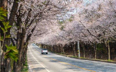 Why Is Spring Time when cars break down a lot?